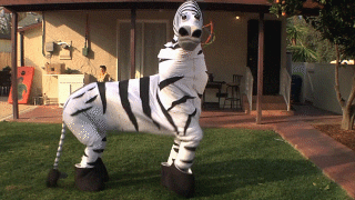dance gif