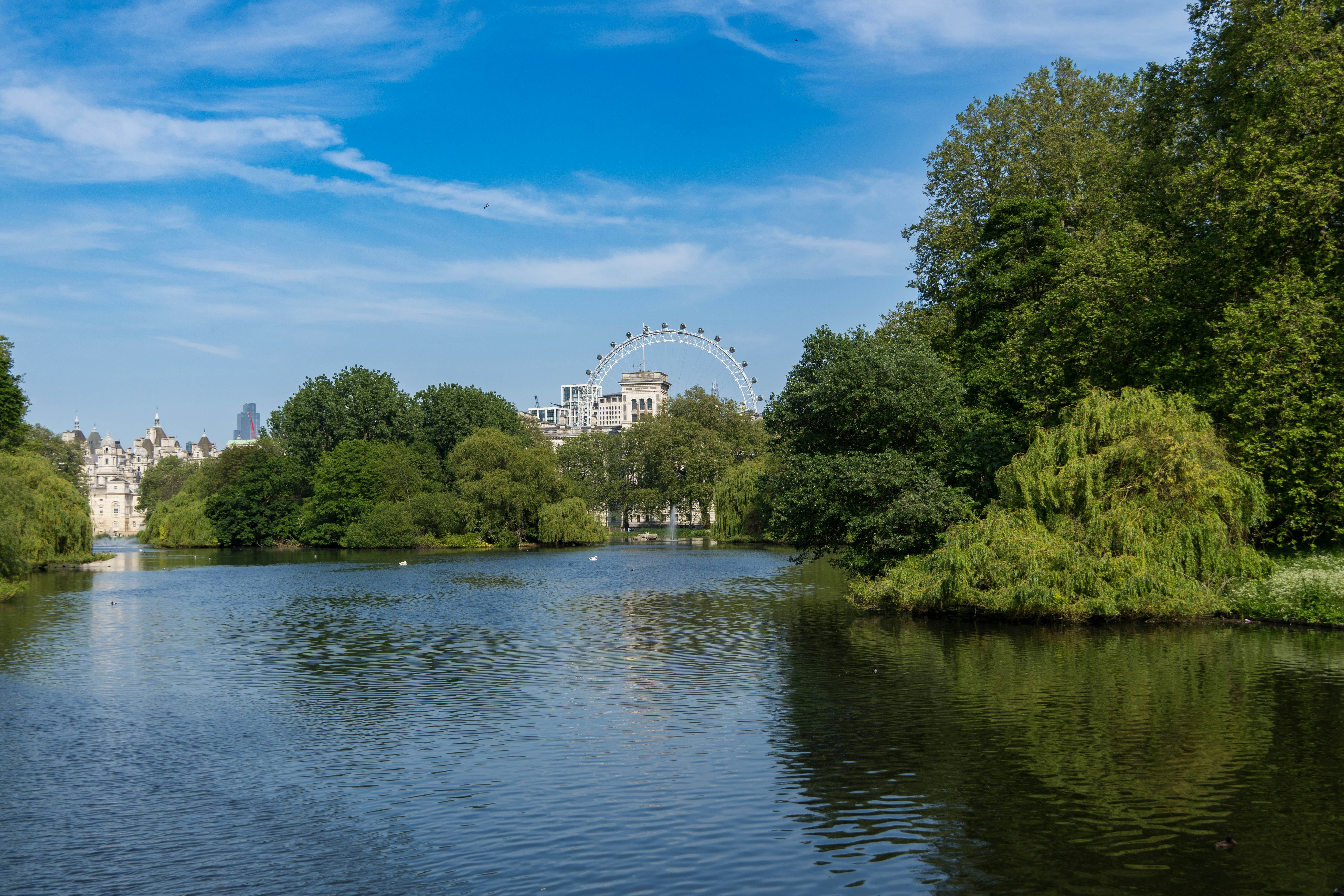Image of water in St. James' park with London skyline in the background.